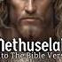 A Short Tale Of Methuselah Noah S Grandfather