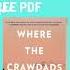 Where The Crawdads Sing Shorts