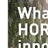 How Do You Think It Would Feel Like To Work At The HORTUS An Interview With Nicole Probst Hensch