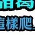 一天聽一點 743 未上市就賣翻 課本裡沒跟你說 諸葛亮這樣提高身價