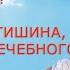 Что лечит тишина и молчание Внутренняя и внешняя тишина механизм лечебного действия