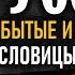 Русские пословицы и поговорки забытые и изменённые временем цитаты русских полные версии мудростей