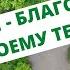 медитация здоровье исцеление благодарность МЕДИТАЦИЯ БЛАГОДАРНОСТЬ СВОЕМУ ТЕЛУ