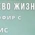 Успешное применение знаний учения Древо Жизни Выпуск 21 Эфир с Ольгой КИЦИС 17 10 2024 г