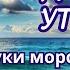 С добрым утром Доброе утро Я желаю Вам доброго утра Доброе утро 7 октября доброеутро добрый день