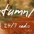 Autumn Fall Radio Golden Walks With Acoustic Indie Folk Music 24 7 Live AlexrainbirdRadio