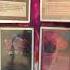 Black Lotus Channel Fireball The Oldest Magic The Gathering 1st Round Win Combo Shorts