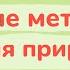 Урок 2 Научные методы изучения природы