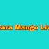 Zara Mango Live