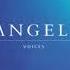 VANGELIS VOICES CD Single Remastered 2022