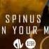 Spinus Open Your Mind Original Mix