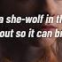 Shakira She Wolf Sped Up Lyrics