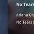 Ariana Grande No Tears Left To Cry Audio