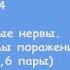 Общая неврология Лекция 4 Черепные нервы Синдромы поражения ЧН 1 2 3 4 6 пары