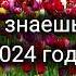 Танцуй если знаешь этот тренд 2024 года