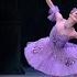 Lilac Fairy Variation Anna Samostrelova Фея Сирени вариация Анна Самострелова 2019