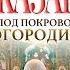 Александр Казак Под покровом Богородицы