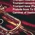 Haydn Trumpet Concerto In E Flat H VIIe No 1 1 Allegro