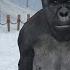 Patila Challenge 22 Part 01 Patila Missed The Stranger Gorilla In Winter Animated Short Film