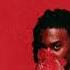 Whole Lotta Red Playboi Carti WLR V1