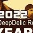 U2 New Year S Day 2022 DeepDelic Remix Semdireitosautoraisfreemusic