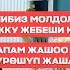 Калысбек Заманбеков Азыркы молдолордун эки чабал жери бар жаңы маек