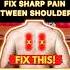 FIX PAIN BETWEEN SHOULDERS Physio Exercise Painreliefexercises Backpain Shoulderpain Rhomboids