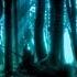 Dark Forest Goa Twilight Progressive Psy Trance Mix 2013 ToPsy Turvey EckoTek Soundsystem