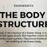 Da Vosk Docta Body Structure