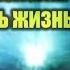 Будда мозг и нейрофизиология счастья Как изменить жизнь к лучшему Йонге Ринпоче Аудиокнига