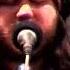 Badly Drawn Boy Live Morning Becomes Eclectic KCRW 2004 10 12