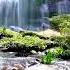 Cascade Stream Flowing In The Forest Mountain Stream Nature Sounds For Sleep And Relaxation