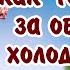 23 октября Международный день тещи С днём Тёщи Супер частушки про тёщу Таких вы еще не слышали