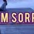 Arilena Ara I M Sorry November Lyrics