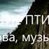 Дикие птицы сл и муз Татьяна Романова исп АНП Сорока автор видео КИра