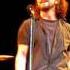 Eddie Vedder And Bad Religion Watch It Die