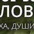 Расслабься в Божьем присутствии Слово Божье под звук дождя Молитва Relaxing