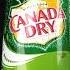 Canada Dry Ginger Ale