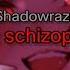 Shadowraze Mode Schizophrenia текст песни