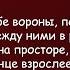 ДДТ Вороны На небе вороны под небом монахи Текст Песни