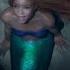 Halle Part Of Your World From The Little Mermaid Sing Along