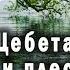 Отдохните на берегу озера под плеск спокойной воды и звуки птиц 2 часа с природой