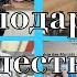 Дарю подаки собираюсь в Дюссельдорф чешется нос стрессовая ситуация акции на Atomy хорошая новость