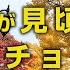 見頃になった北海道大学イチョウ並木の紅葉 札幌移住者の日常