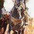 North Africa Arab And Berber Horsemen Horsemen Of Myth Full Documentary AMP