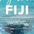 Fiji Why We Love It