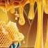 Mad Honey A Hallucinogenic Treasure That Drives People Crazy Hunting The Honey Factory Process