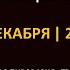 Концерт группы МОРДА ЛОРДА в г Ростов на Дону ресторан Три Тонны 2 12 2023г