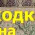 Обзор находок на перепродажу из секонд хенда США Крупный улов