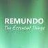 Remundo The Essential Things